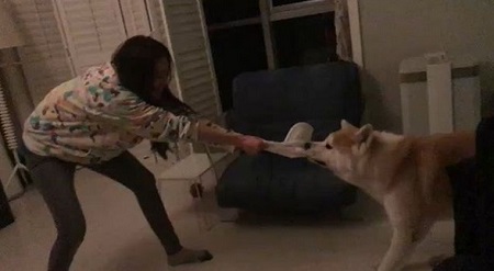舒淇与宠物犬拔河抢帽子：这不是你的 还我