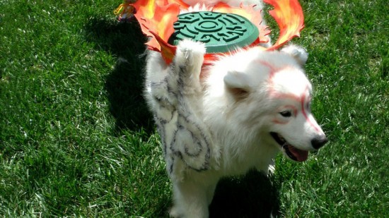 世界各地的超级宠物狗狗的CosPlay