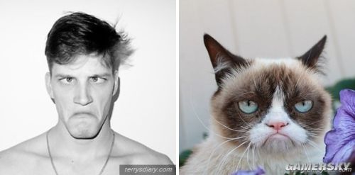 猫咪萌倒世界的前兆 喵星人PK性感嫩模写真赏