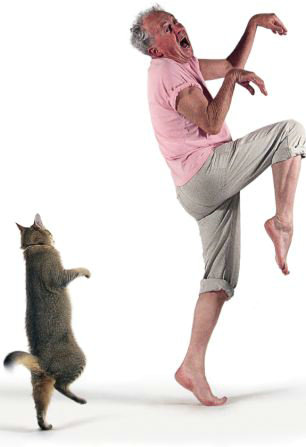 主人与宠物猫翩然共舞尽显优雅