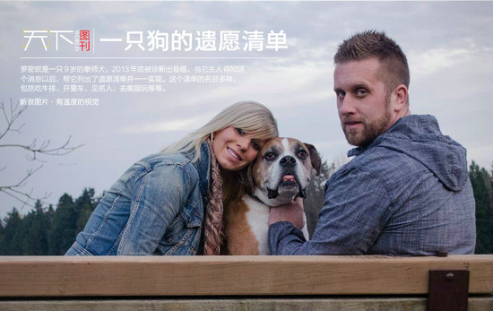 [感动]一只狗的遗愿清单