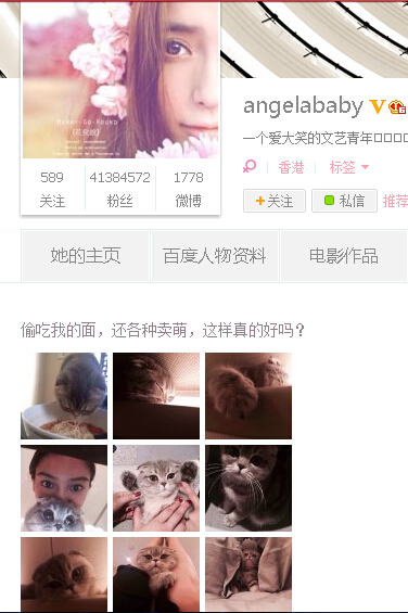 angelababy吃泡面被喵星人偷吃