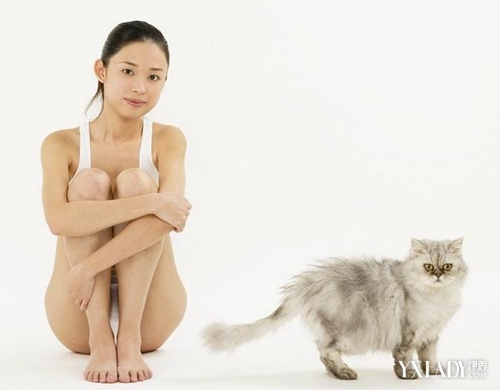 猫咪瘦身瑜伽 4个入门级动作