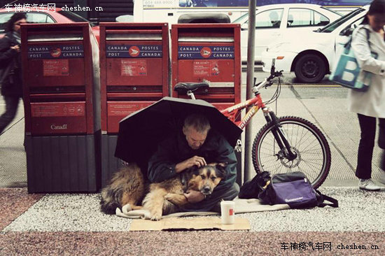 纪实摄影：依偎在主人怀中的狗狗们