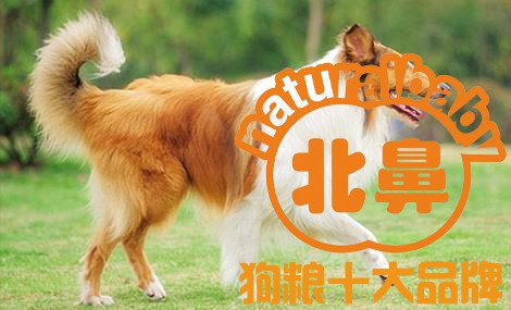 我的相册