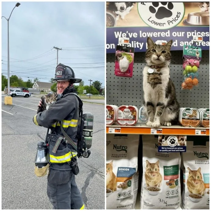 商店丙烷泄漏紧急疏散人群消拯员折返救猫顺手抢救面团