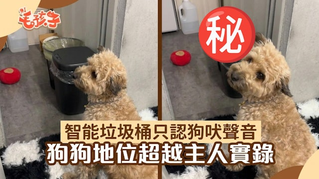 智能垃圾桶只认爱犬声音！主人扮狗叫惨遭无视　汪：这家没我得散