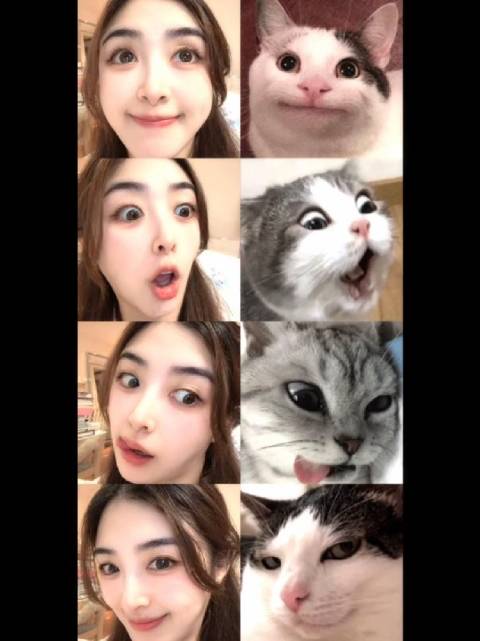 喵本喵上线！张含韵模仿猫咪表情包四连拍挑战简直萌翻啦