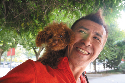 大连一只6个月大泰迪犬 加减乘除全会“算”