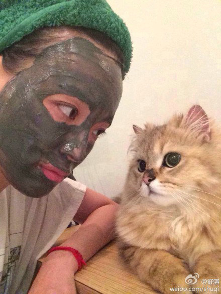 舒淇微博晒与猫咪合影照 女神你这么“吓人”猫咪知道么!