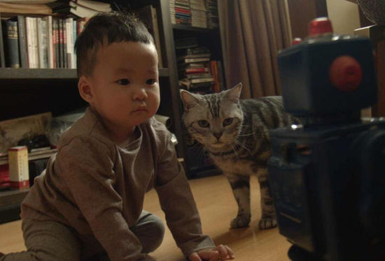 姚晨晒儿子与猫咪合照 呆萌表情神同步