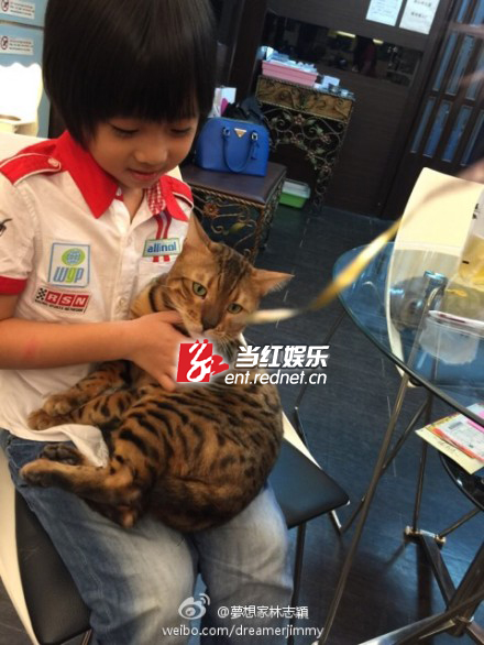 Kimi抱猫咪温柔爱抚 林志颖求养猫诀窍