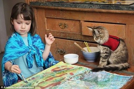 双语:可以治疗自闭症的猫咪医生