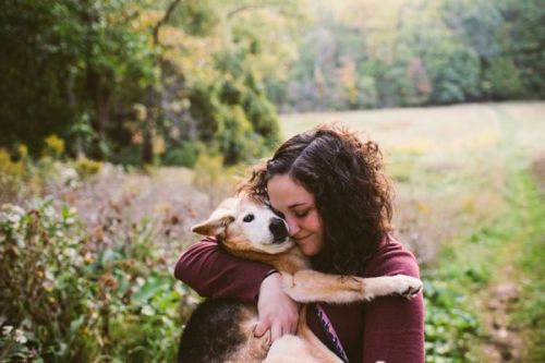 主人与狗狗在一起的16年 唯美照片送别爱犬