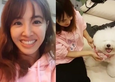 蔡依林为爱犬庆生 比熊犬屋虎长得像带毛的飓风