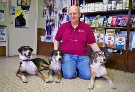 老人花十万美金克隆爱犬两次 养了三只一样的狗狗