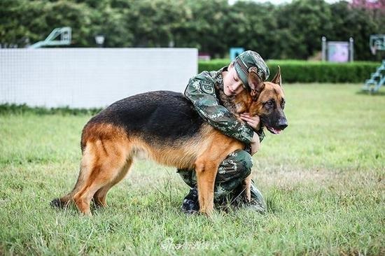 张馨予节目中训狗惨被咬 虽受伤仍感谢狗狗保护