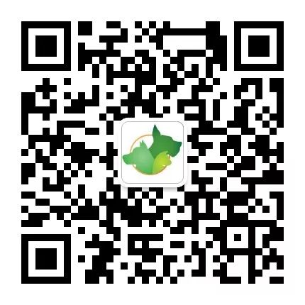 汪星人福利,免费领取灵芝营养粉试用装一瓶