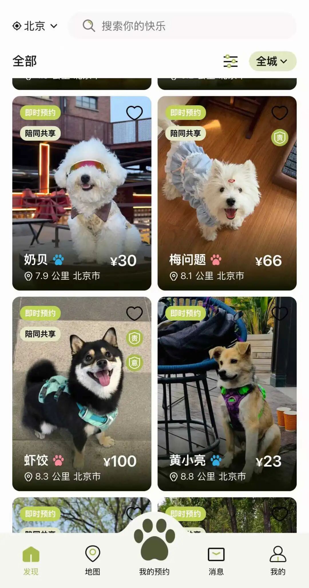 花5元就能租到一只金毛,想过养狗瘾的北漂涌进租狗平台