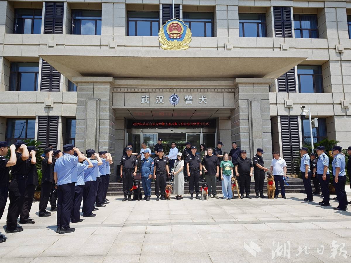 再见,无言的战友!武汉40只退役警犬被领回新家