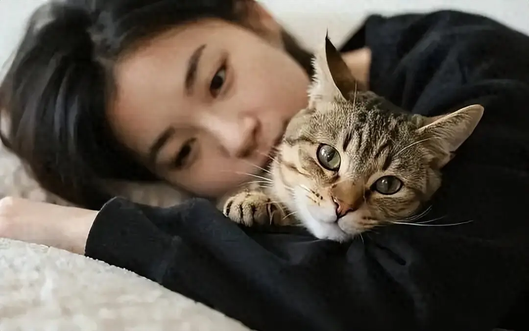 为什么现在穷人都爱养猫?日本早有预兆:低欲望社会下的必然