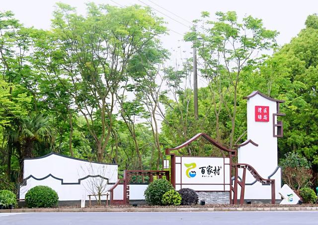 “毛孩子”把村子带火了!上海这个村靠宠物经济“旺”起来