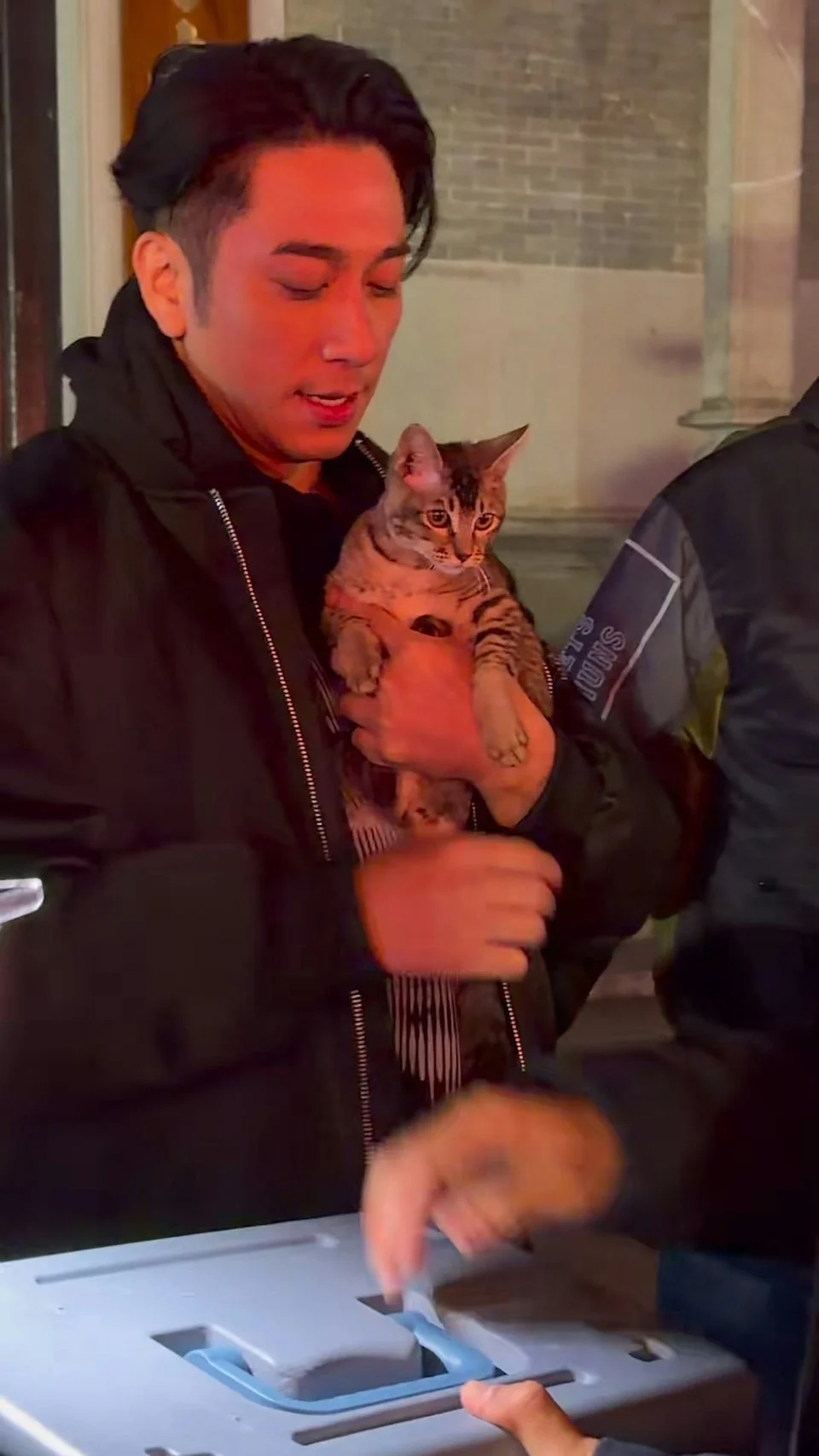 流浪猫意外泄线索 吴卓羲张曦雯爆假戏真做