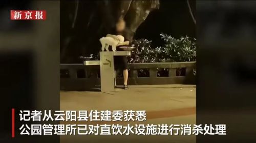 宠物狗使用公共直饮水引争议,有人质疑为何不向狗主人追责,你怎么看?