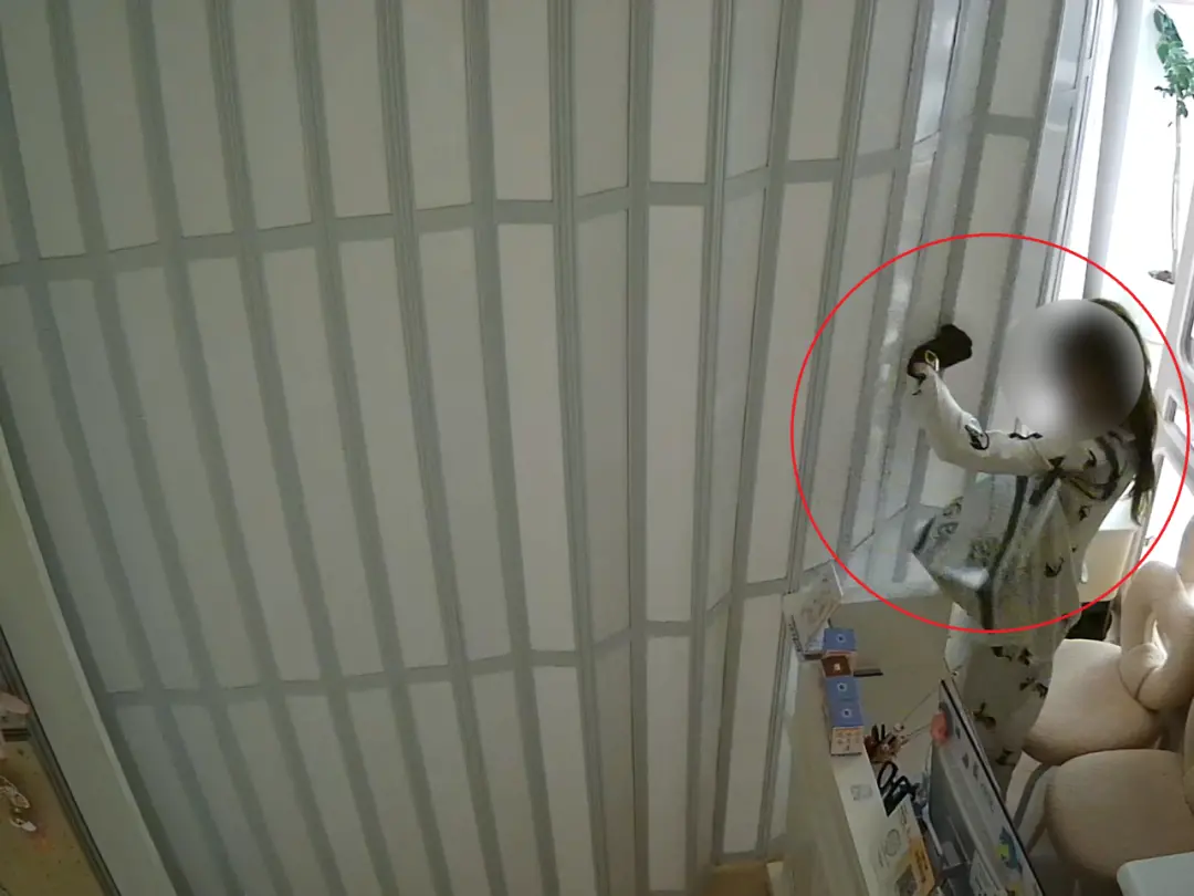 男子扮女装凌晨偷走2只价值12万的宠物狗,被刑拘