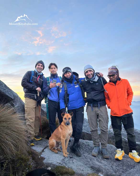 网笑言挺拔坐姿一脸认真 狗狗登神山留影爆红