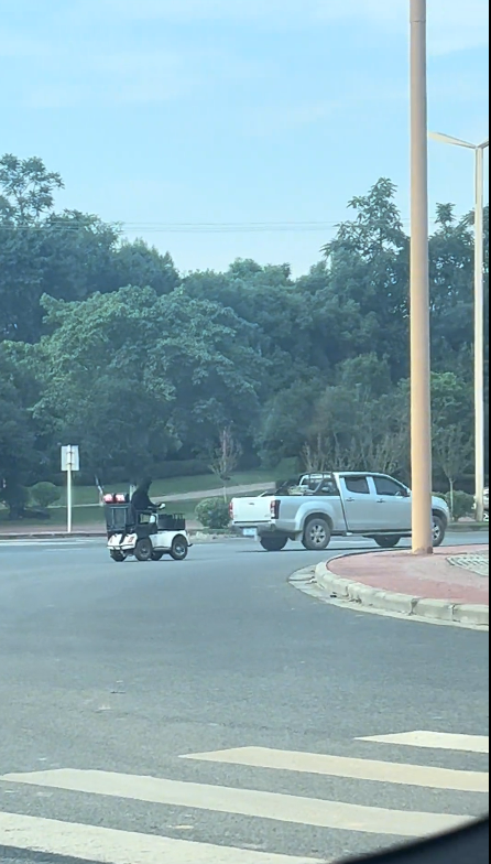 一只拉布拉多独自开车上路,“一边开一边狂叫”,狗主人:练车1个月就能上路;当地交管局回应.png