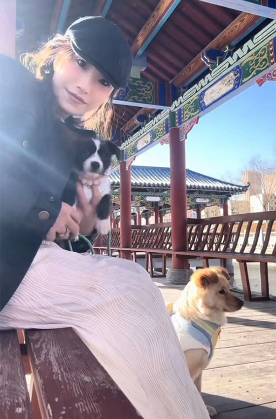 救下受伤流浪狗取名小幸运,27岁的她离开了