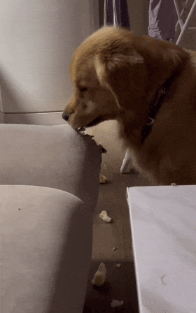 2026_1020_70e82647g00tn7qsf00ild2007s00cgg007s00cg.gif