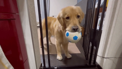 2026_1020_c96002f5g00tn7qsy01xad200b4006ag00b4006a.gif