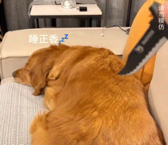 2026_1014_20bbcc3bg00tmwlr902gnd2006l005pg006l005p.gif