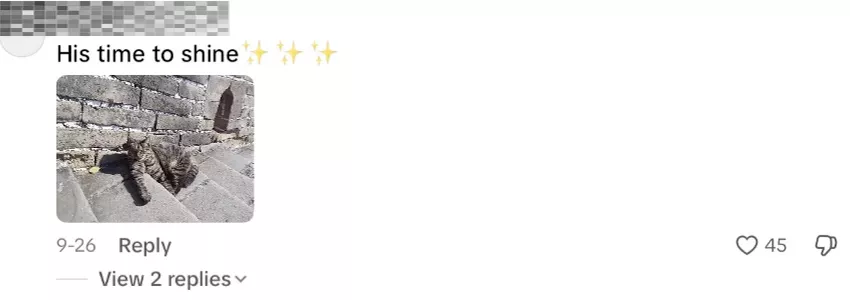 4b23eab5de0b6c139b0a40dcc83bdd9f.webp