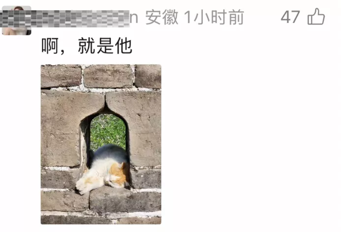 1f84f97012a3166b017b5626047be944.webp