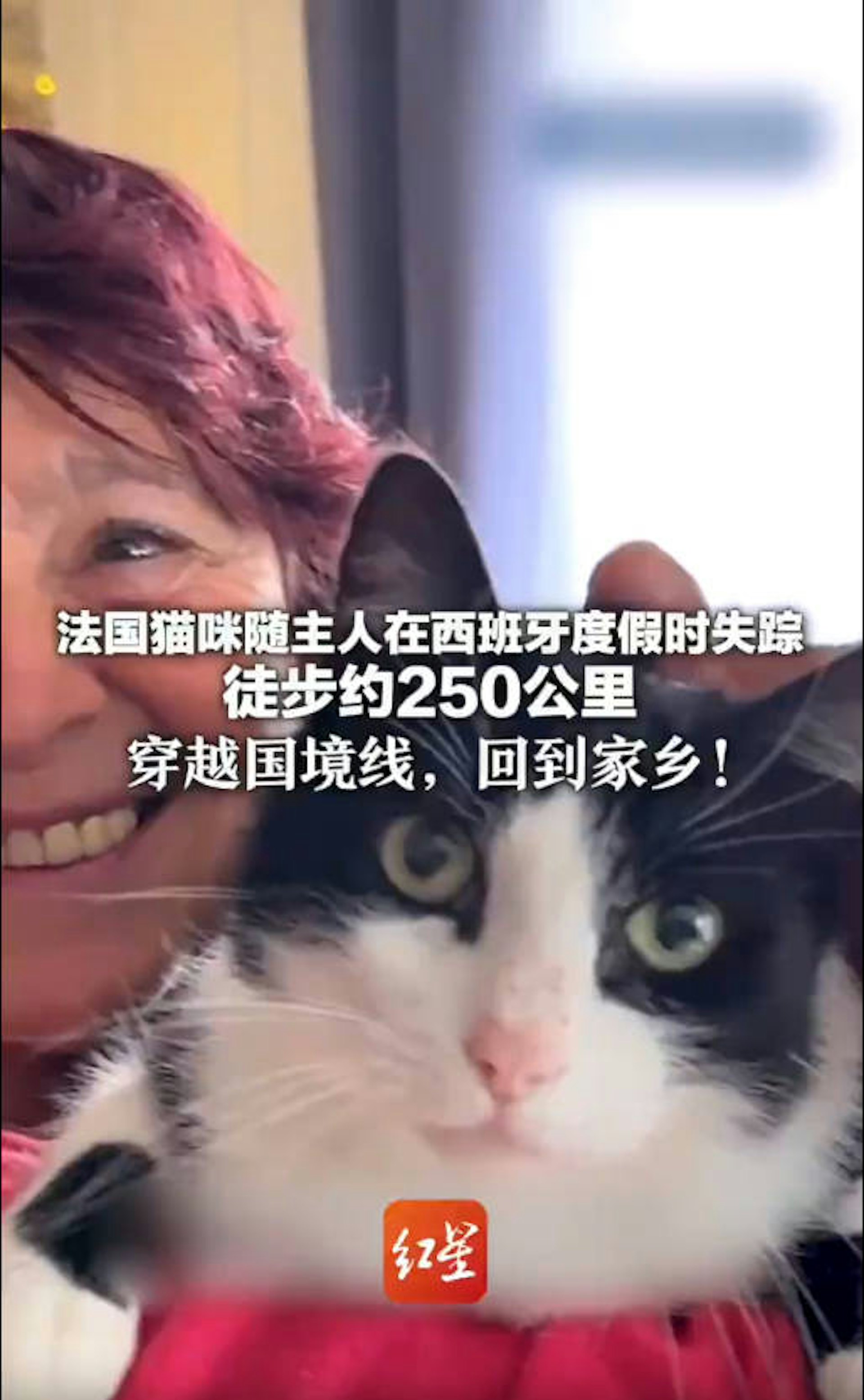 KtDU52Ha7lb7IrRlU3QIQHMHI_rRLDxhDNn_sgzZ_7I.jpg