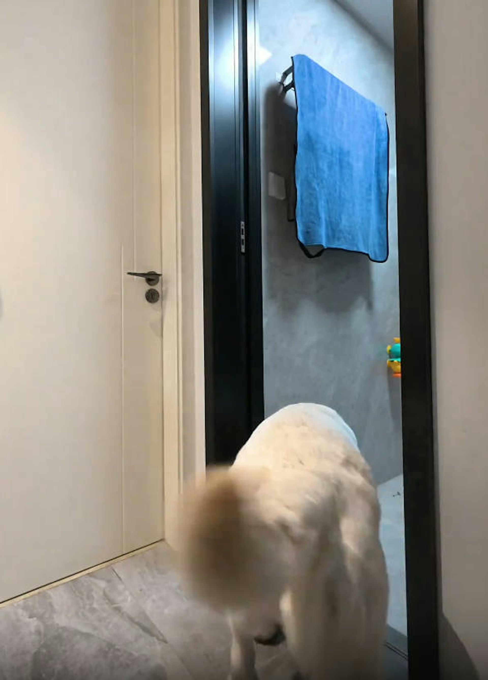 -QjKjIles5F6rTkwdg96RdIJ4kz73ywr-OUZVPjlGVQ.jpg