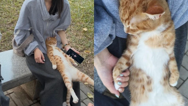1RPMgpgW7CcS60mEZHOBncVMEShVdKk05a0y--WtMvs.jpg