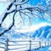 djn71704703